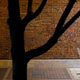 Charles Rex Arbogast/AP Images